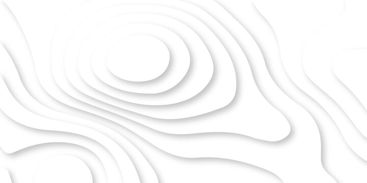 Abstract vector wave carve diamond topography line circle creative 3d papercut white background. Luxury white wave and empty space for texture art design.