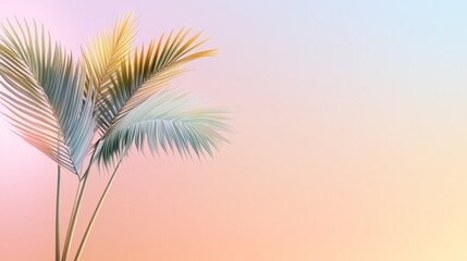 Elegant pastel palm trees against a soft summer gradient background, symbolizing tropical paradise, vacation vibes, summer bliss, nature's beauty, and serenity.