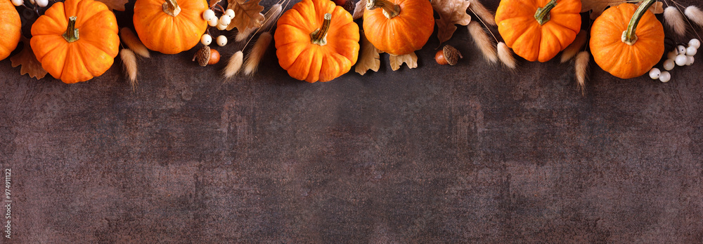 Poster fall top border of orange pumpkins, berries and natural autumn decor. overhead view on a rustic dark