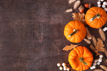 Fall side border of orange pumpkins, berries and natural autumn decor. Top view on a rustic dark stone background with copy space.
