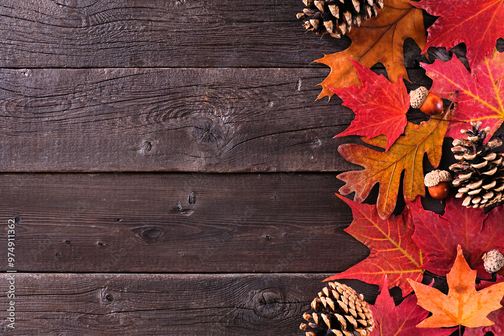 Poster colorful autumn leaves, nuts and pine cones. side border over a rustic dark wood background. top dow