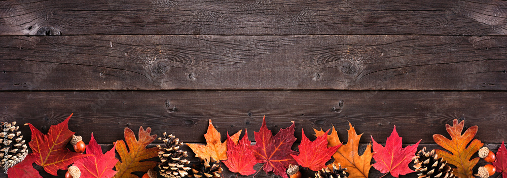 Poster colorful autumn leaves, nuts and pine cones. bottom border over a rustic dark wood banner background