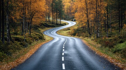 Obraz premium Winding road passing through a forest in autumn