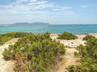 Fototapeta premium Cala Millor auf Mallorca in Spanien