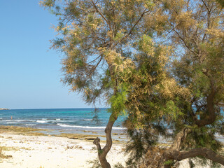 Am'Strand von Cala Millor auf Mallorca