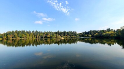 lake in the forest