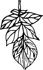 Hand drawn sketch style illustration of ripe potatoes, heap, sliced pieces. Eco food vintage vector illustration