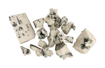 blue mold cheese isolated