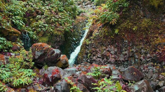Scenic waterfall in the jungle near Furnas in Sao Miguel, Azores. 