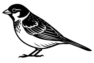bird on a branch