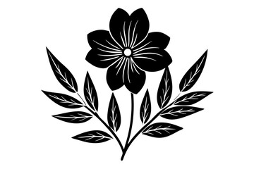 black and white flower