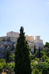 Fototapeta premium Panoramic view over the Acropolis and the temple of the Parthenon with a tall green cypress tree in the foreground in Athens, Greece, Europe.