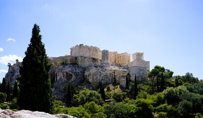Fototapeta premium Panoramic view over the Acropolis and the temple of the Parthenon with a tall green cypress tree in the foreground in Athens, Greece, Europe.