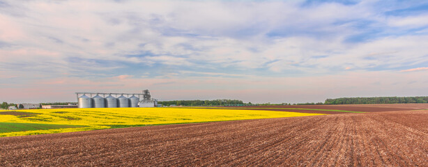 Agricultural fields and granaries on the horizon. Panoramic image of a field of plowed arable land and a field of yellow flowering rapeseed