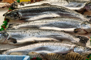 Fresh Salmon Displayed on Ice at Seafood Market