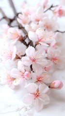   Close-up image of pink flowers on white marble table with tree branch in the background