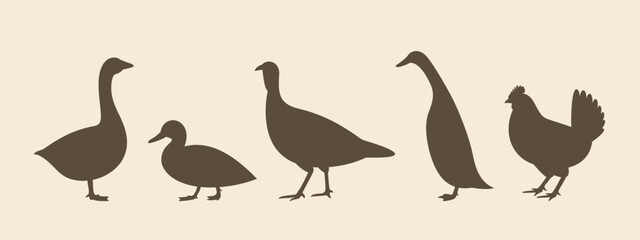 Poultry silhouette. Isolated  poultry on vintage  background