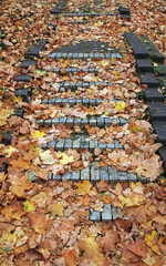 Fototapety na wymiar - Fototapeta24.pl