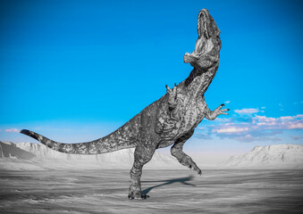 giganotosaurus is doing a fight pose on sunset desert © DM7