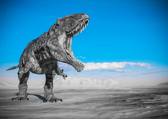 giganotosaurus is doing a intimidating pose on sunset desert with copy space © DM7