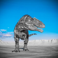 giganotosaurus is looking for some food on sunset desert © DM7