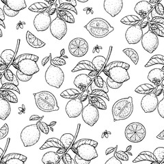 Lemon fruit seamless pattern. Hand drawn vector illustration. Lemon sketch. Design, package, brochure illustration. Lemon fruit illustration. Hand drawn background for packaging design and other.