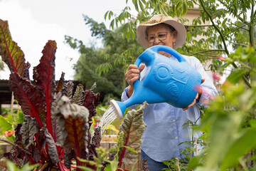 A woman is watering plants in a garden. She is wearing a straw hat and a blue watering can