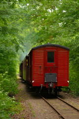 Obraz premium Vintage museum steam train rolling through green forest.