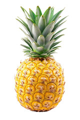Fototapeta premium ripe whole pineapple isolated png transparent background