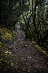 Masca village, the most visited tourist attraction of Tenerife, Spain