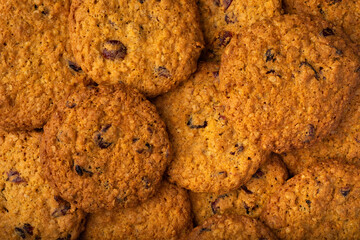 freshly baked round cookies with dried cranberries fill the entire frame. background image. top view