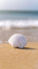 Sea shell on sandy beach with ocean waves, serene coastal scene. Nature and relaxation concept