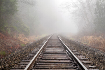 Misty Railway Along the Edge of Burns Bog, North Delta