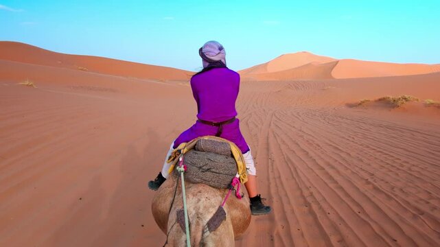 Camel ride, desert tour in Merzouga, Morocco, Erg Chebbi dunes and path for camping in the Sahara. Sunrises and sunsets to overnight destination in Berber desert camp