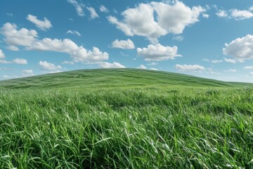 Green grass field on small hills and blue sky with clouds