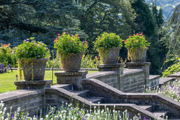 flower planters in the garden