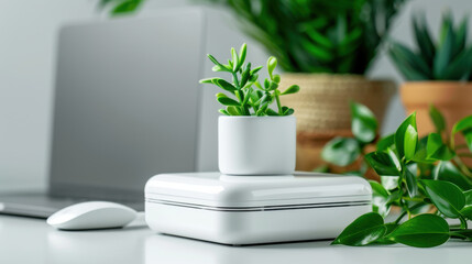 A modern, minimalist office desk setup featuring a small green potted plant in a white pot, next to a laptop and mouse.