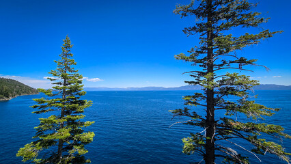 Two trees on the cliffs of lake tahoe