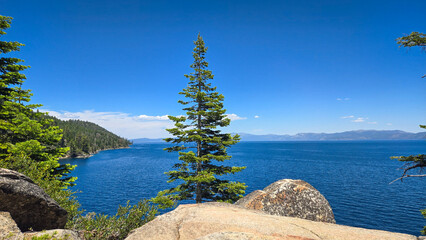 A tree on the edge of the cliff at lake tahoe