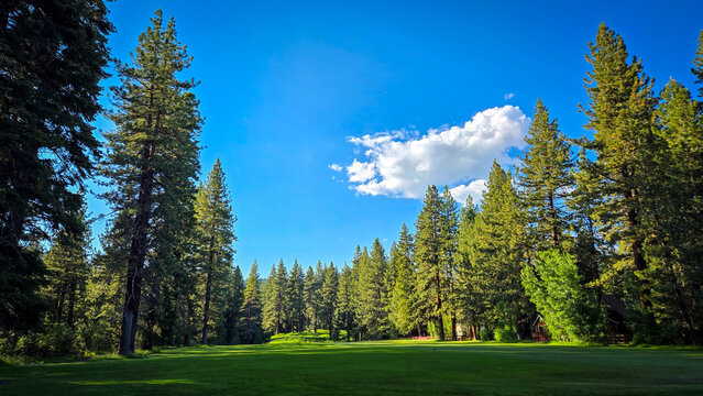 Golf course path in lake tahoe