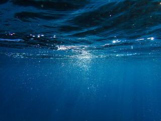 bubbles, bubbles undersea, undersea, green water, underwater, crystal sea, background, sea, bubble,...