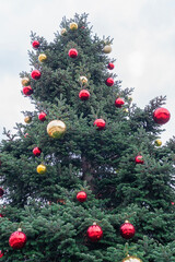 Decorated Christmas tree adorned with red and gold ornaments during winter