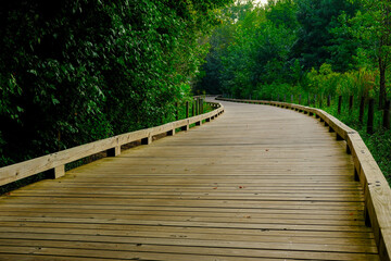 Scenes Along the Greeway Walking Trail in Forsyth County