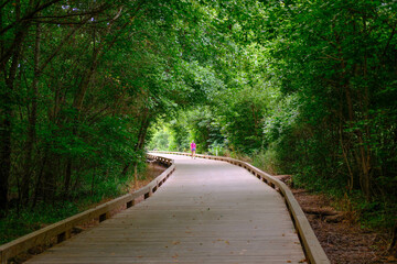 Scenes Along the Greeway Walking Trail in Forsyth County