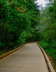 Scenes Along the Greeway Walking Trail in Forsyth County