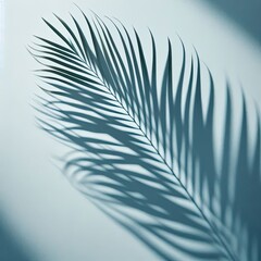 Fototapeta premium Blurred shadow from palm leaves on the light blue wall. Minimal abstract background for product presentation. Spring and summer.