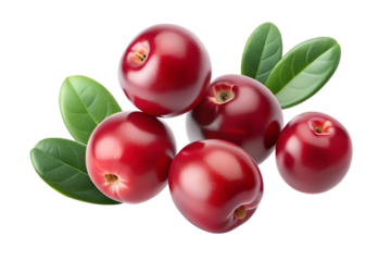 cranberry with leaves falling in the air on a transparent background PNG