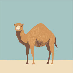 Fototapeta premium Vector Illustration of a Camel Against a Simple Background