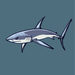 Fototapeta premium Vector Illustration of a Shark in Simple Lines