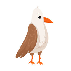 Vector cute seagull isolated on white background. Cartoon cute sea bird in flat style. Polar birds